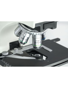 Microscope à lumière... 2