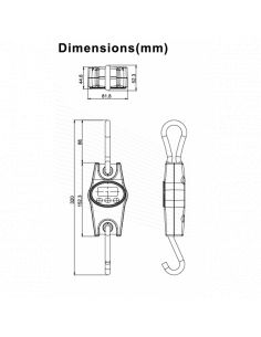 Dynamomètre Crochet peseur 200 kg 2