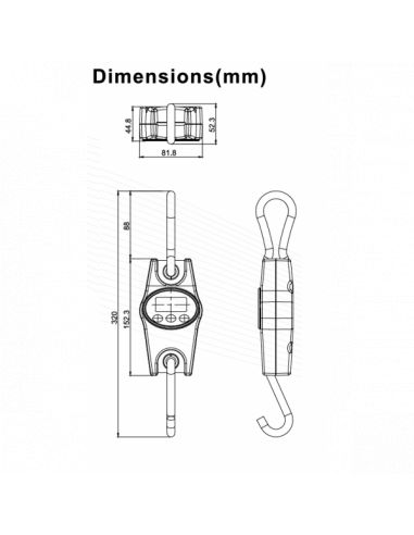 Dynamomètre Crochet peseur 200 kg