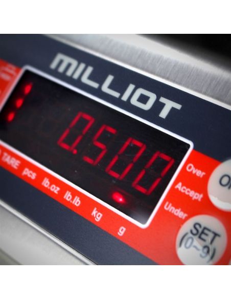 Balance inox portée 15 kg, précision 1 g