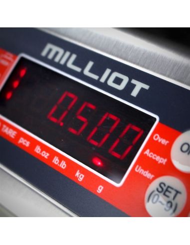 Balance inox portée 6 kg, précision 1 g